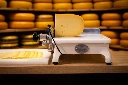 Web-IMG_5431.webp