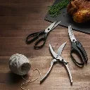 WebP-Scissors.webp