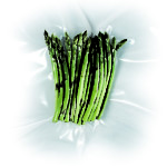 sacs-sous-vide-conservation